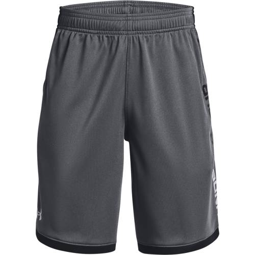 UA Stunt 3.0 Shorts