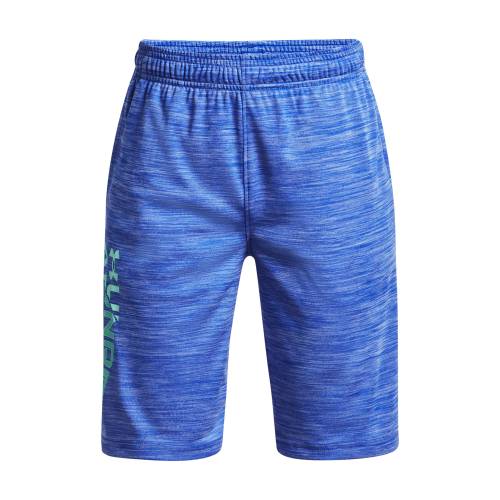 UA Prototype 2.0 Wdmk Shorts