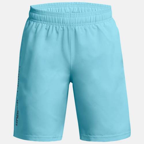 Dětské kraťasy Under Armour Woven Wdmk Shorts